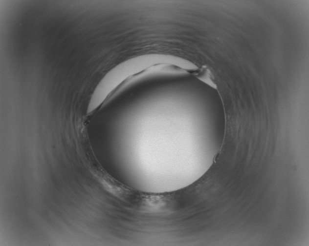 X0000082750091200702162010