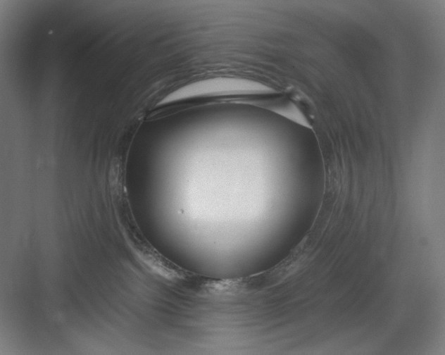 X0000082750092200702162011