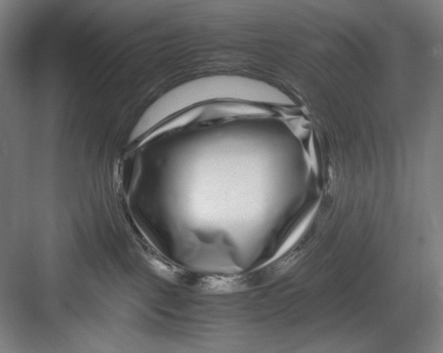 X0000082750093200702162011