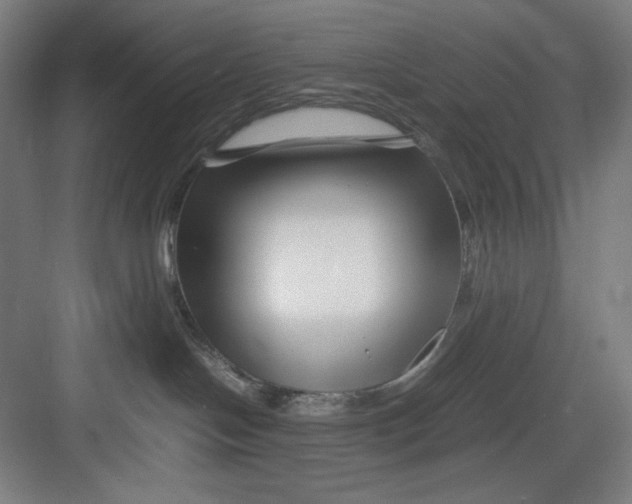 X0000082750094200702162011
