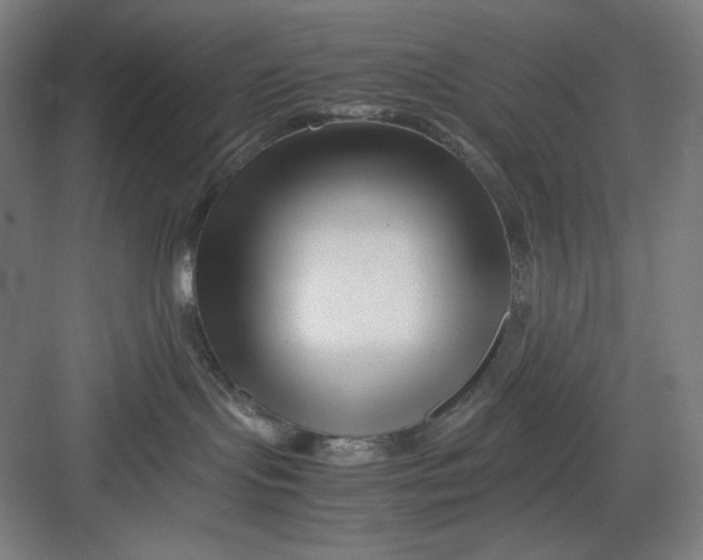 X0000082750095200702162011