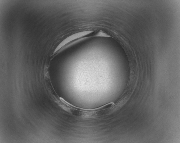 X0000082750096200702162011