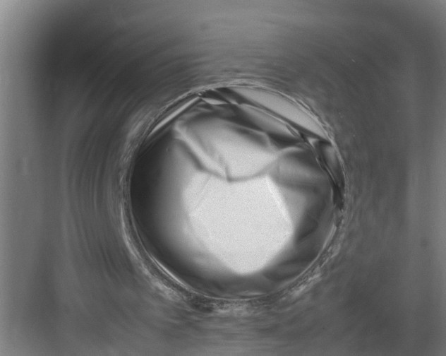 X0000082750097200702162010