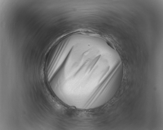 X0000082750098200702162010