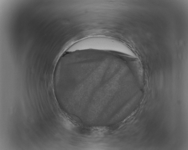 X0000082750099200702162010