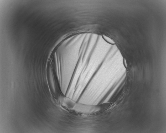 X0000082750100200702162010