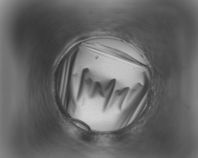 X0000082750103200702162010