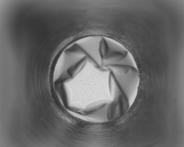X0000082750104200702162010