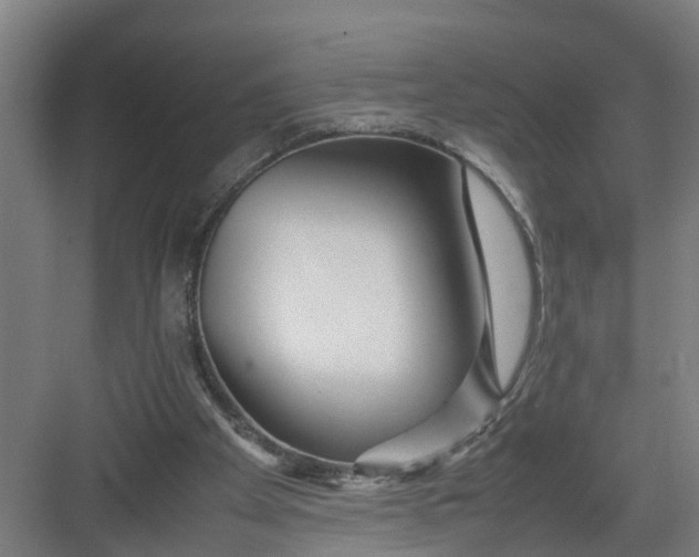 X0000082750105200702162010
