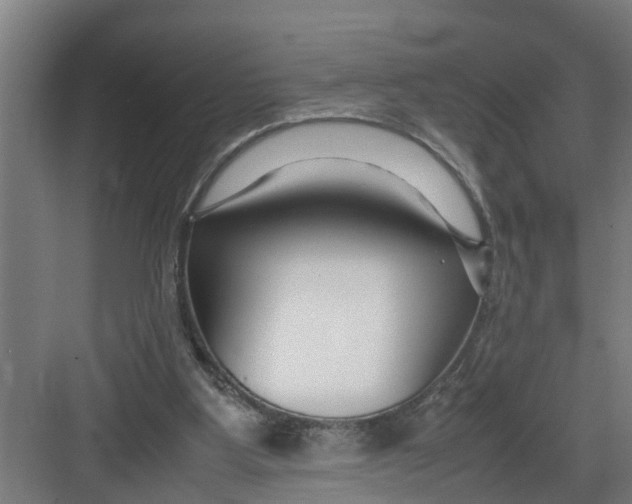 X0000082750107200702162010