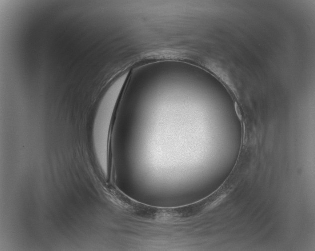 X0000082750109200702162010