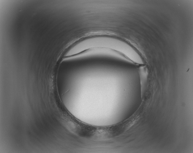 X0000082750111200702162010