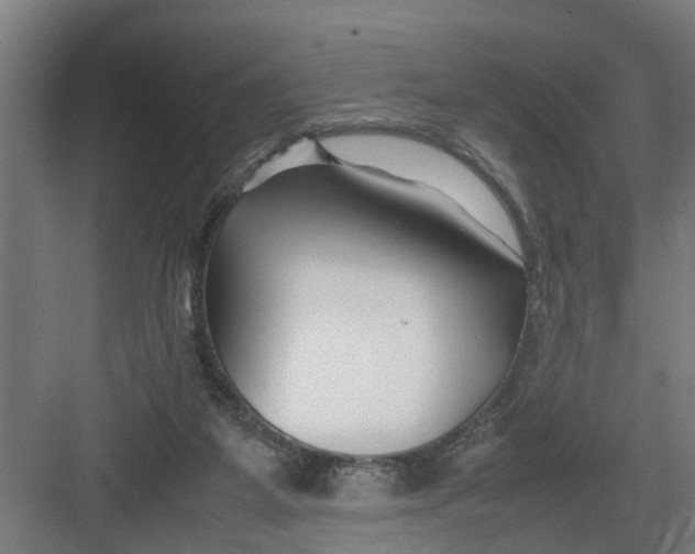 X0000082750115200702162009