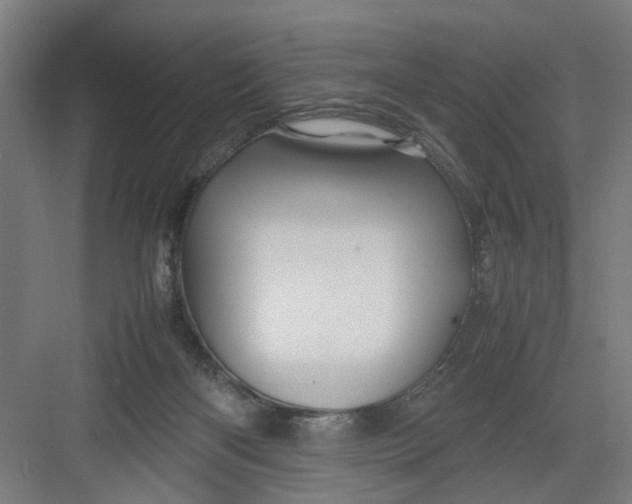X0000082750122200702162009