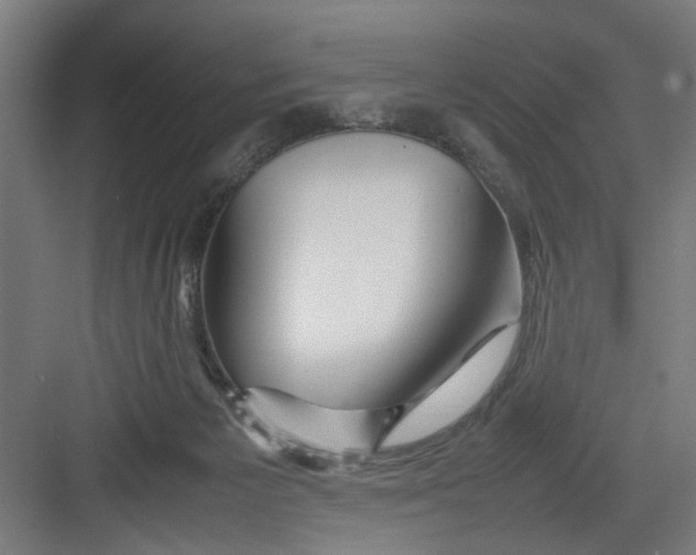 X0000082750125200702162009