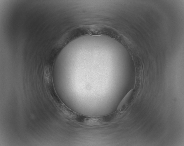 X0000082750129200702162009