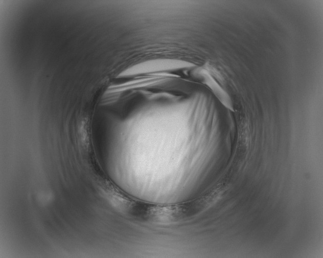 X0000082750131200702162009