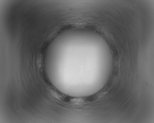 X0000082750133200702162009
