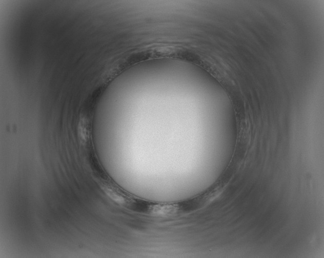 X0000082750135200702162009