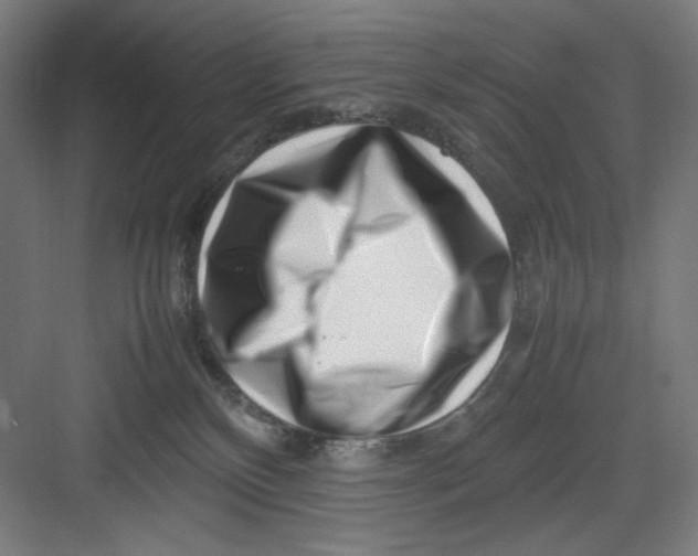 X0000082750136200702162009