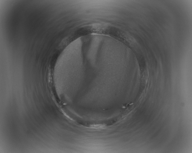X0000082750137200702162009