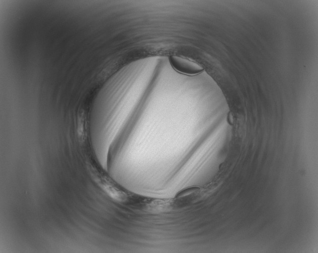 X0000082750138200702162009