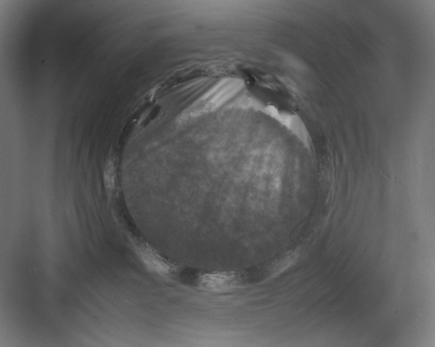 X0000082750139200702162009