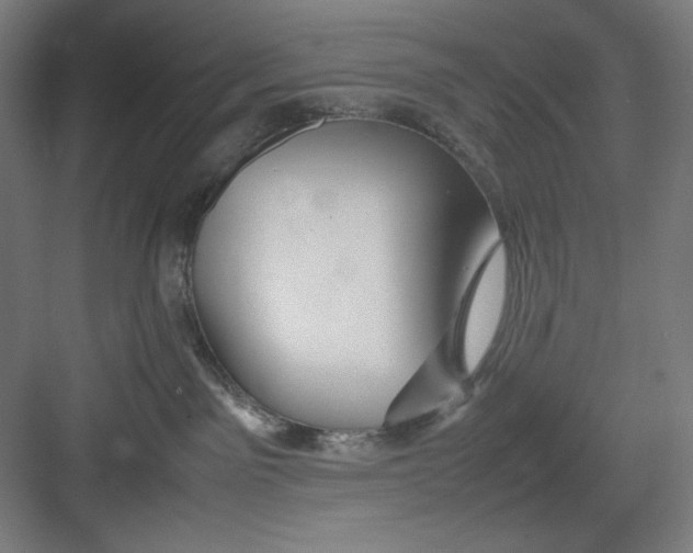 X0000082750141200702162009