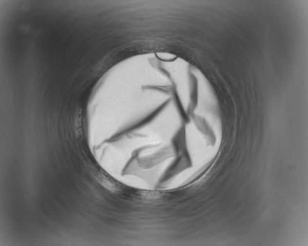X0000082750144200702162009