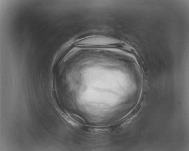 X0000082750149200702162008
