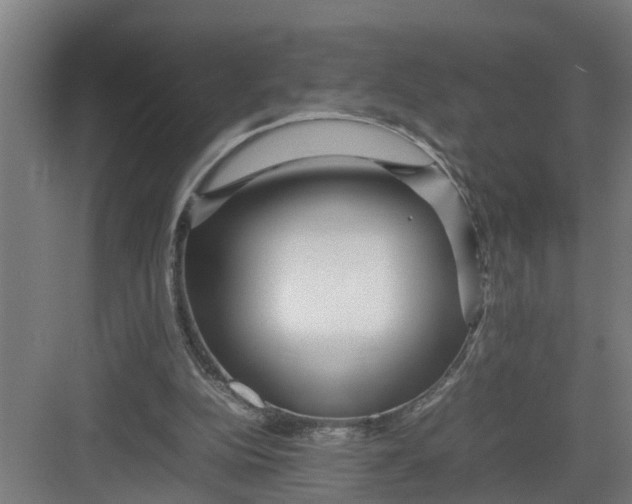 X0000082750152200702162008