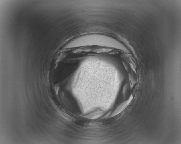 X0000082750154200702162008
