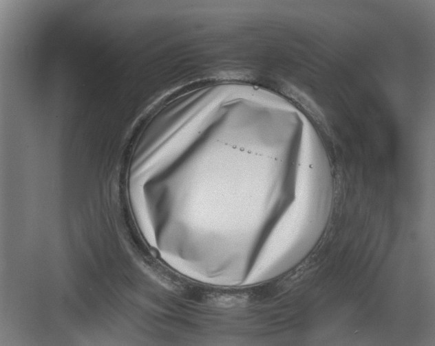 X0000082750155200702162008