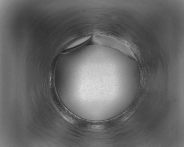 X0000082750157200702162008