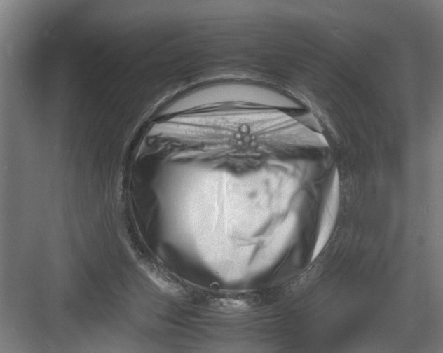 X0000082750159200702162008