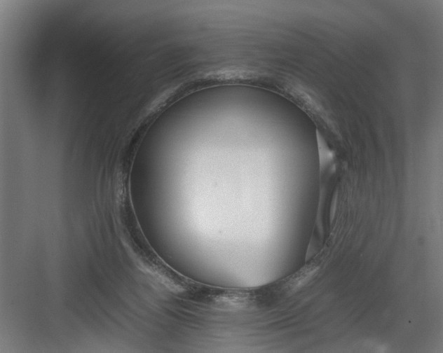 X0000082750164200702162008