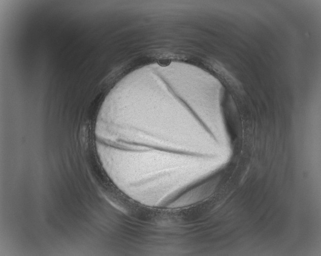 X0000082750165200702162009