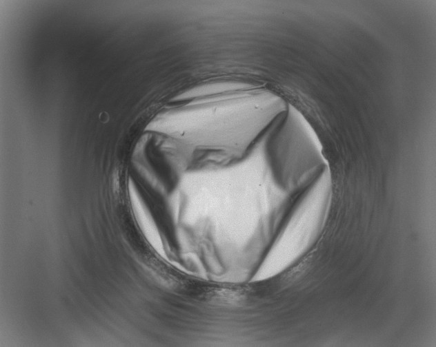 X0000082750166200702162009
