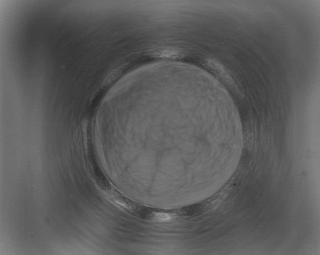 X0000082750167200702162009