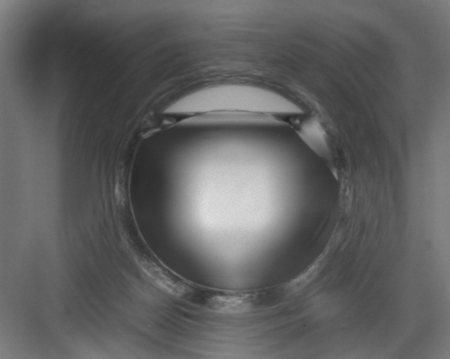 X0000082750170200702162009