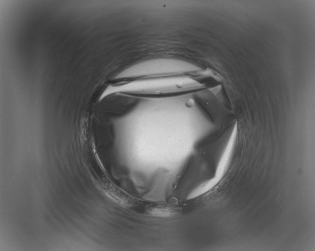 X0000082750171200702162009
