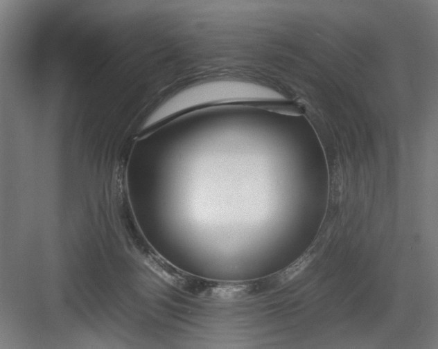 X0000082750172200702162009