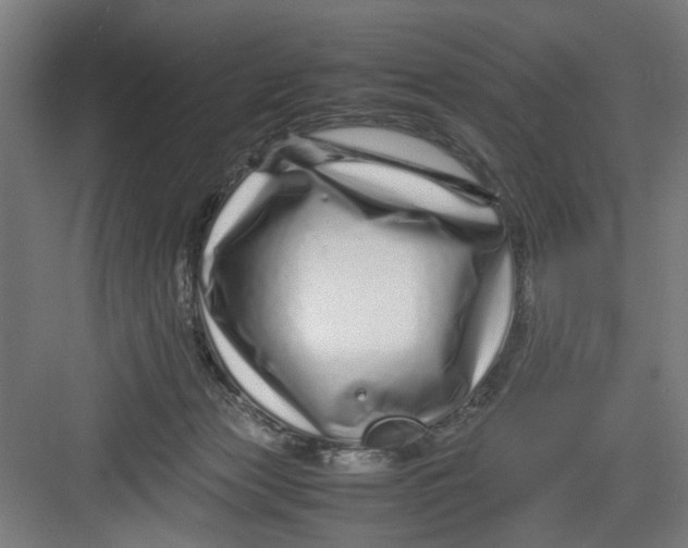 X0000082750173200702162009