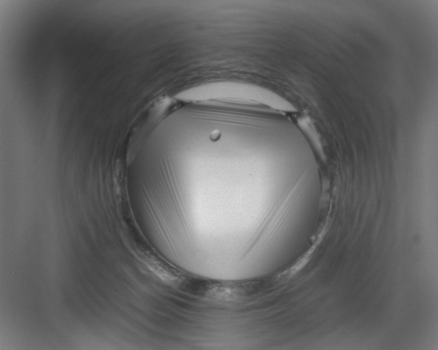 X0000082750174200702162009