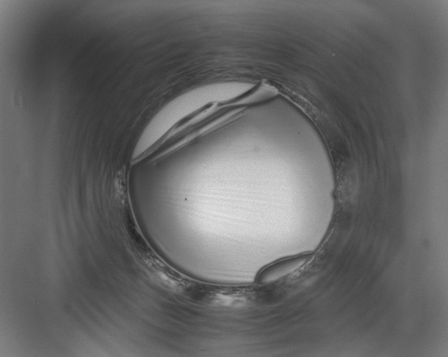 X0000082750175200702162009