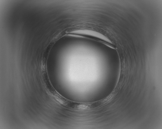X0000082750176200702162009