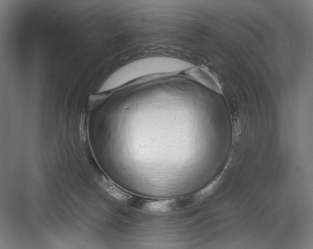 X0000082750178200702162009