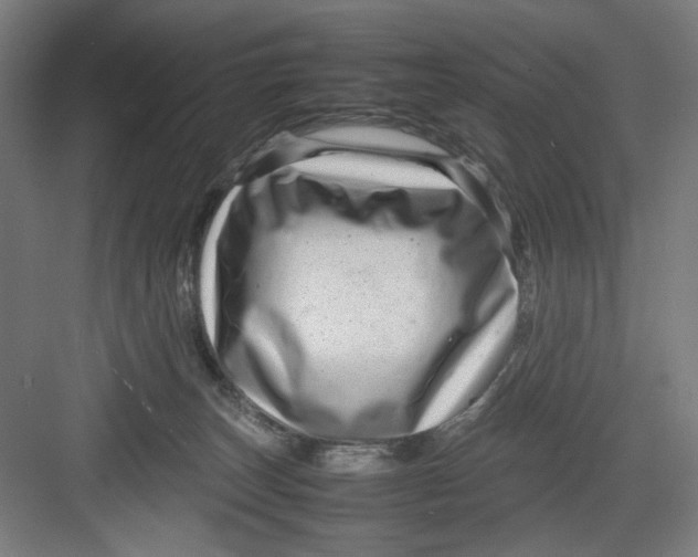 X0000082750179200702162009