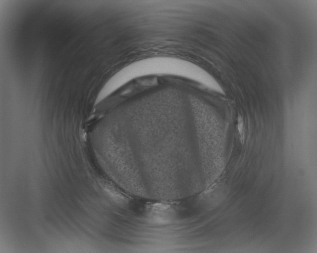 X0000082750180200702162009