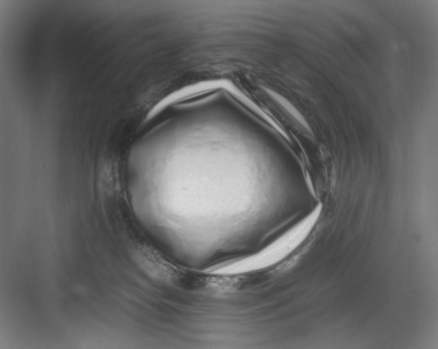 X0000082750182200702162009